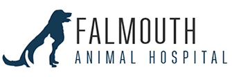 Falmouth Animal Hospital